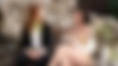 Transfixed Update - The Muse Transfixed Update - The Muse