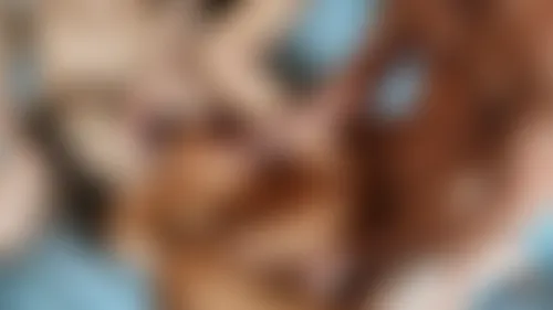 Stacy Cruz Gets Two Cocks at the Same Time! Stacy Cruz Gets Two Cocks at the Same Time!