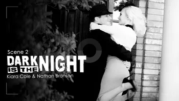 Dark Is The Night: Scene 2