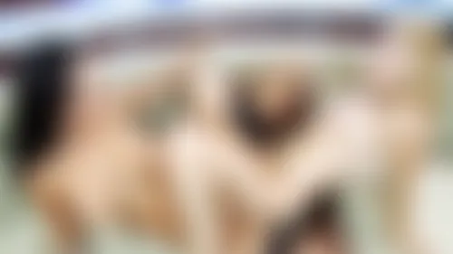 Danni Update - SINergy Danni Update - SINergy