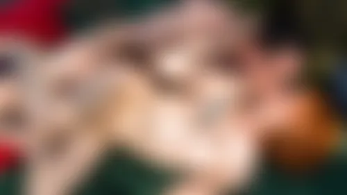 Holiday Heat - Carry On Camping Holiday Heat - Carry On Camping