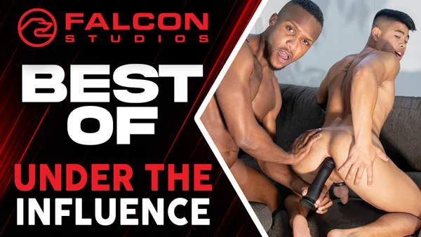 Best Of Under The Influencer