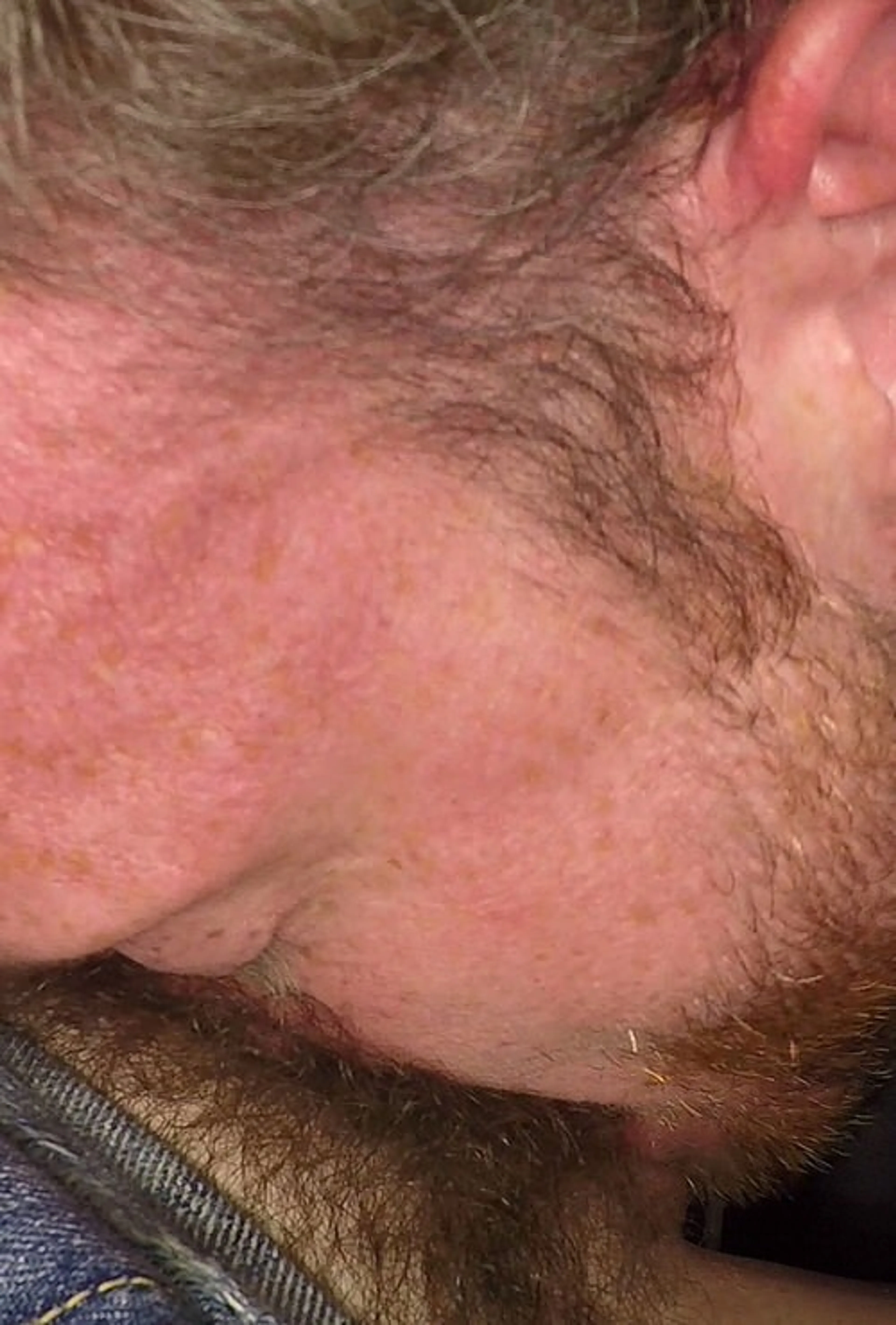 GangBang Creampie 123