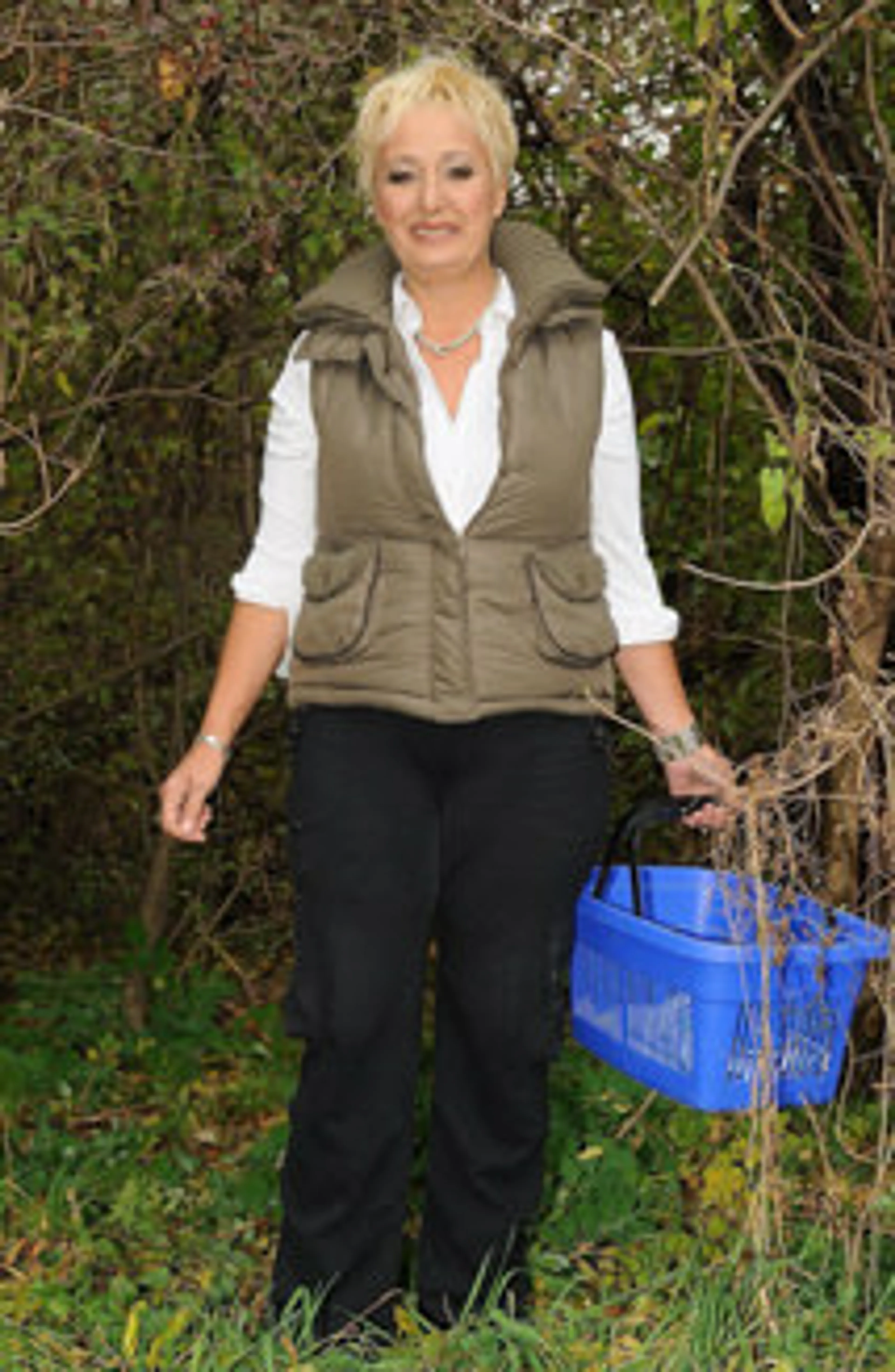 What's in your basket?