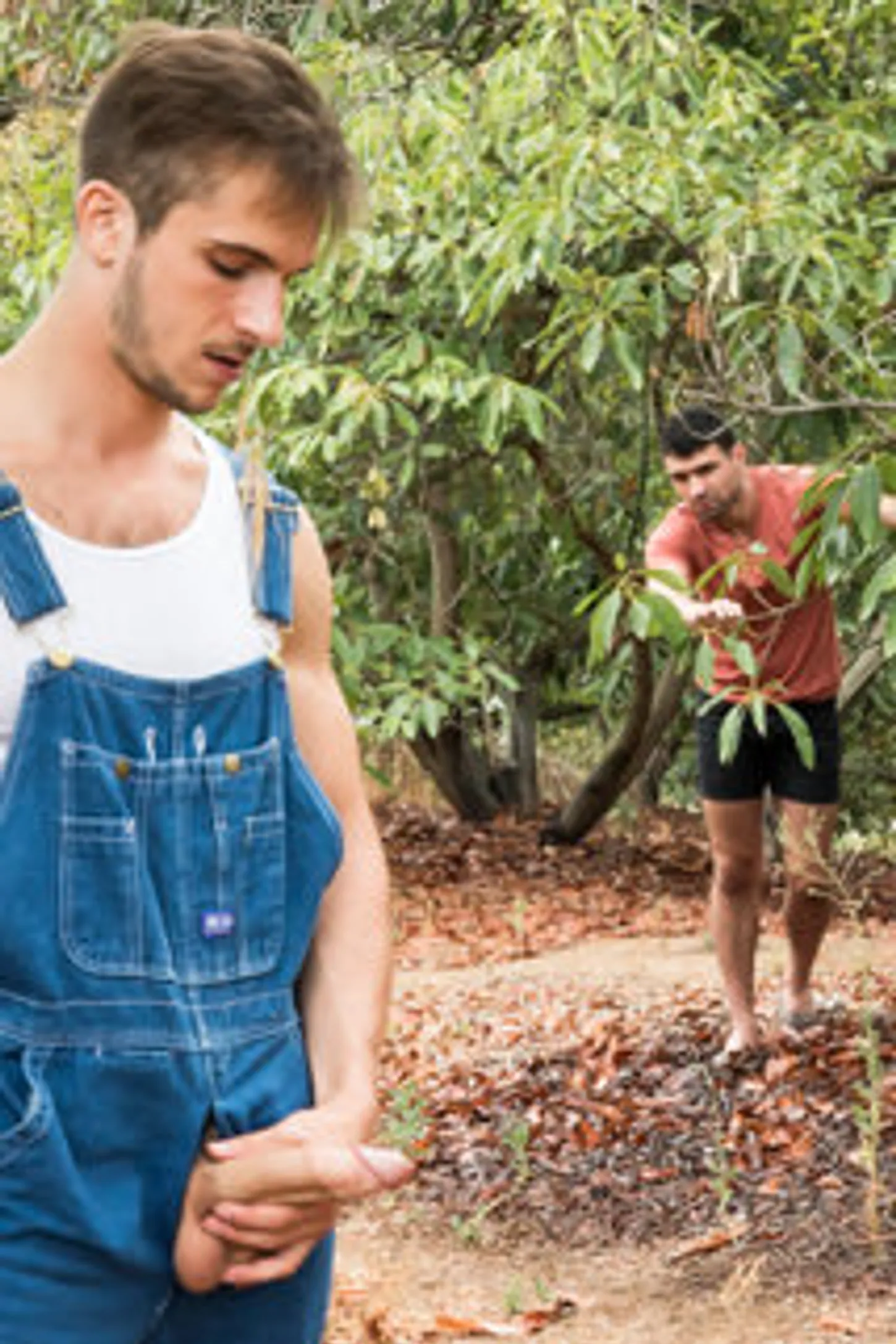 Donte Thick & Ian Greene fuck among the trees of avocado. 